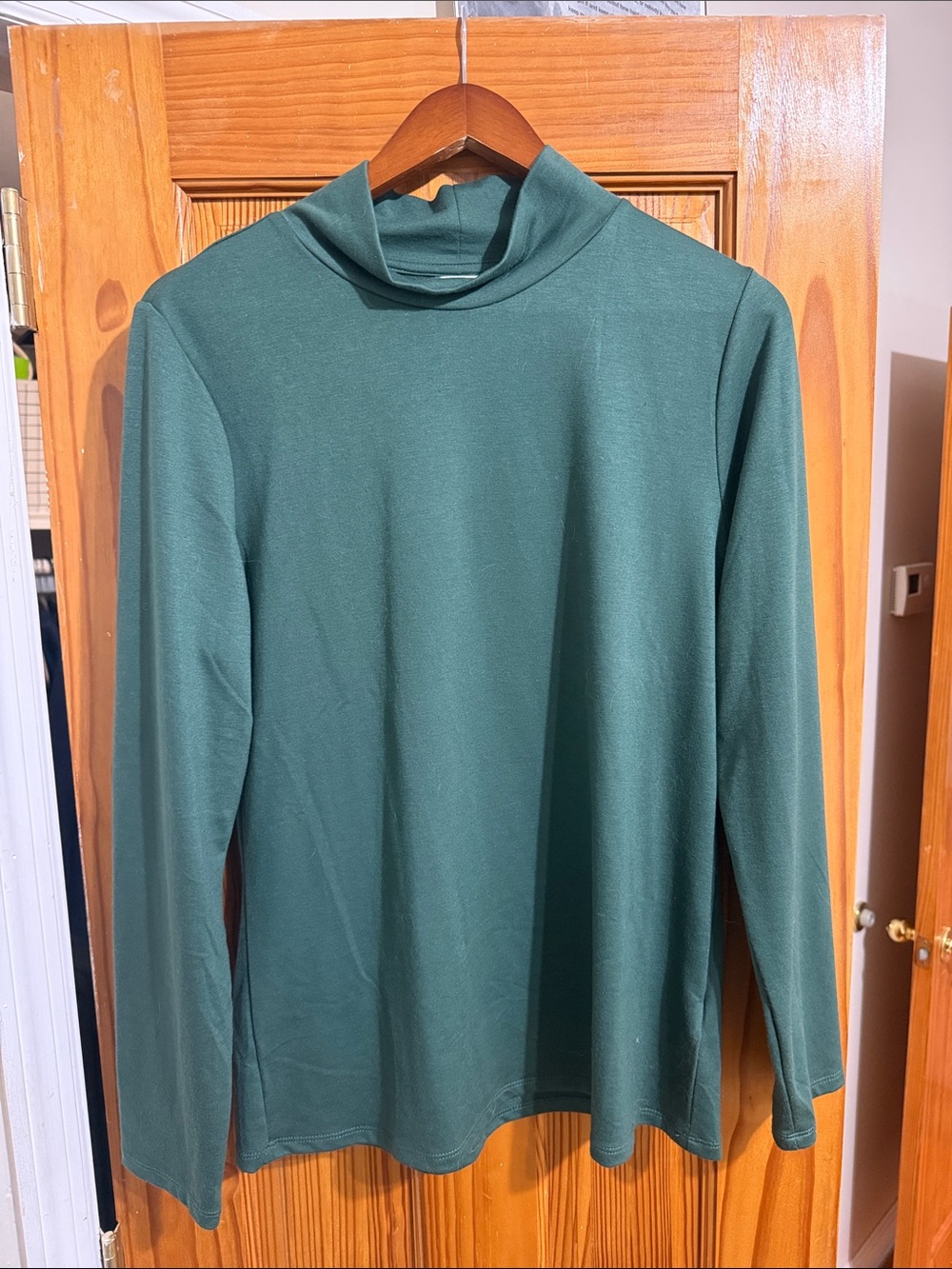 Women's Green Turtle Neck Sweater